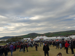  <a style='color: #fff;' href='/uploaded/photo/nationale-2016-5730f44909925.jpg'>(Télécharger)</a>