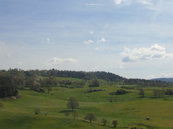  <a style='color: #fff;' href='/uploaded/photo/nationale-2016-5730f4e73e82b.jpg'>(Télécharger)</a>