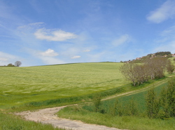  <a style='color: #fff;' href='/uploaded/photo/nationale-2016-5730f4f4bde40.jpg'>(Télécharger)</a>