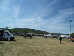  <a style='color: #fff;' href='/uploaded/photo/nationale-2016-5730f7b23cad7.jpg'>(Télécharger)</a>