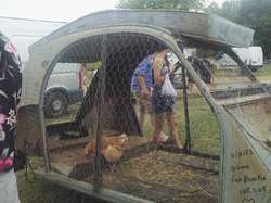  <a style='color: #fff;' href='/uploaded/photo/nationale-2018-a-veze-5af8a0d1bbb0e.jpg'>(Télécharger)</a>