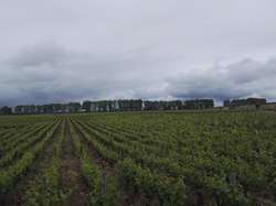  <a style='color: #fff;' href='/uploaded/photo/nationale-2018-a-veze-5af8a0d9c16ab.jpg'>(Télécharger)</a>