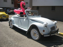  <a style='color: #fff;' href='/uploaded/photo/nationale-2024-brazey-en-plaine-21-6652f16f74882.jpg'>(Télécharger)</a>