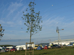  <a style='color: #fff;' href='/uploaded/photo/nationale-a-st-dizier-539373b822ef3.jpg'>(Télécharger)</a>