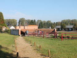  <a style='color: #fff;' href='/uploaded/photo/rallye-d-automne-2014-54be933829853.jpg'>(Télécharger)</a>