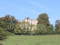  <a style='color: #fff;' href='/uploaded/photo/rallye-d-automne-2014-54be94a3c16a3.jpg'>(Télécharger)</a>