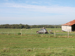  <a style='color: #fff;' href='/uploaded/photo/rallye-d-automne-2014-54be95a72ab10.jpg'>(Télécharger)</a>