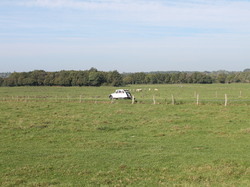  <a style='color: #fff;' href='/uploaded/photo/rallye-d-automne-2014-54be95ba090bb.jpg'>(Télécharger)</a>