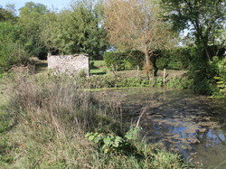  <a style='color: #fff;' href='/uploaded/photo/rallye-d-automne-2014-54be96f586a68.jpg'>(Télécharger)</a>