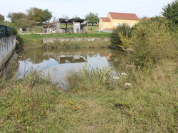  <a style='color: #fff;' href='/uploaded/photo/rallye-d-automne-2014-54be99a52337f.jpg'>(Télécharger)</a>