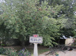  <a style='color: #fff;' href='/uploaded/photo/rallye-d-automne-2015-5612daf7053f2.jpg'>(Télécharger)</a>