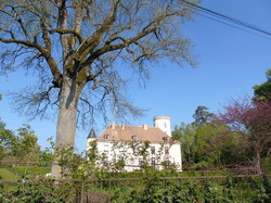  <a style='color: #fff;' href='/uploaded/photo/rallye-de-printemps-58fda7c84fc04.jpg'>(Télécharger)</a>