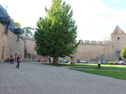  <a style='color: #fff;' href='/uploaded/photo/rallye-du-6-octobre-5bba7ac8445c0.jpg'>(Télécharger)</a>