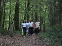  <a style='color: #fff;' href='/uploaded/photo/rallye-du-6-octobre-5bba7af966063.jpg'>(Télécharger)</a>