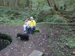  <a style='color: #fff;' href='/uploaded/photo/rallye-du-6-octobre-5bba7b0527687.jpg'>(Télécharger)</a>