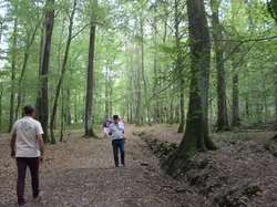  <a style='color: #fff;' href='/uploaded/photo/rallye-du-6-octobre-5bba7b0db295a.jpg'>(Télécharger)</a>