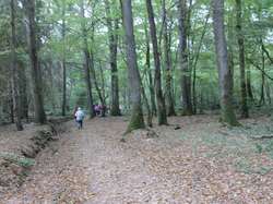  <a style='color: #fff;' href='/uploaded/photo/rallye-du-6-octobre-5bba7b1137a0f.jpg'>(Télécharger)</a>