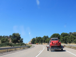  <a style='color: #fff;' href='/uploaded/photo/rassemblement-mondial-2013-525ef9ec50a72.jpg'>(Télécharger)</a>