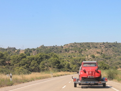  <a style='color: #fff;' href='/uploaded/photo/rassemblement-mondial-2013-525ef9ee5b4c6.jpg'>(Télécharger)</a>