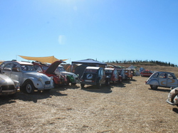  <a style='color: #fff;' href='/uploaded/photo/rassemblement-mondial-2013-525ef9f0742cd.jpg'>(Télécharger)</a>