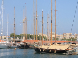  <a style='color: #fff;' href='/uploaded/photo/rassemblement-mondial-2013-525efa200e5f2.jpg'>(Télécharger)</a>