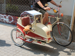  <a style='color: #fff;' href='/uploaded/photo/rassemblement-mondial-2013-525efa4ee8766.jpg'>(Télécharger)</a>