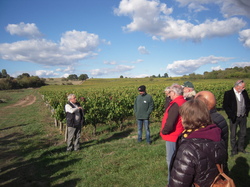  <a style='color: #fff;' href='/uploaded/photo/sortie-club-du-09-10-2016-58093681a31ad.jpg'>(Télécharger)</a>