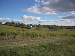  <a style='color: #fff;' href='/uploaded/photo/sortie-club-du-09-10-2016-580936de3b3b9.jpg'>(Télécharger)</a>