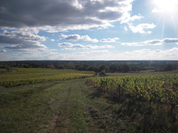  <a style='color: #fff;' href='/uploaded/photo/sortie-club-du-09-10-2016-580936ef28a16.jpg'>(Télécharger)</a>