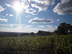  <a style='color: #fff;' href='/uploaded/photo/sortie-club-du-09-10-2016-580937b83b508.jpg'>(Télécharger)</a>