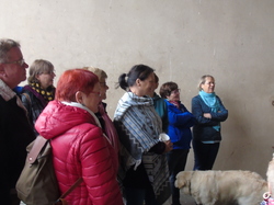  <a style='color: #fff;' href='/uploaded/photo/sortie-club-du-09-10-2016-580a87c0f080b.jpg'>(Télécharger)</a>