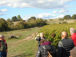  <a style='color: #fff;' href='/uploaded/photo/sortie-club-du-09-10-2016-580a89b7a4a9b.jpg'>(Télécharger)</a>