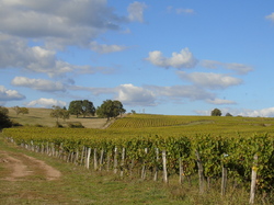  <a style='color: #fff;' href='/uploaded/photo/sortie-club-du-09-10-2016-580a89cd9a32a.jpg'>(Télécharger)</a>