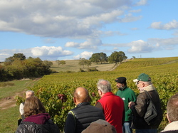  <a style='color: #fff;' href='/uploaded/photo/sortie-club-du-09-10-2016-580a89cdb8e90.jpg'>(Télécharger)</a>