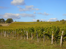  <a style='color: #fff;' href='/uploaded/photo/sortie-club-du-09-10-2016-580a89e663e23.jpg'>(Télécharger)</a>