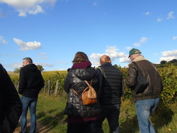  <a style='color: #fff;' href='/uploaded/photo/sortie-club-du-09-10-2016-580a89e736d79.jpg'>(Télécharger)</a>