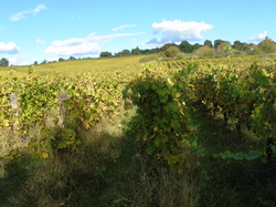  <a style='color: #fff;' href='/uploaded/photo/sortie-club-du-09-10-2016-580a89ec15e25.jpg'>(Télécharger)</a>