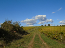  <a style='color: #fff;' href='/uploaded/photo/sortie-club-du-09-10-2016-580a8a00de3bf.jpg'>(Télécharger)</a>