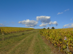  <a style='color: #fff;' href='/uploaded/photo/sortie-club-du-09-10-2016-580a8a12ccfc7.jpg'>(Télécharger)</a>