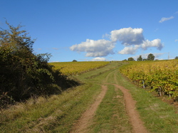  <a style='color: #fff;' href='/uploaded/photo/sortie-club-du-09-10-2016-580a8a1386ef8.jpg'>(Télécharger)</a>