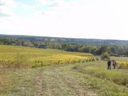  <a style='color: #fff;' href='/uploaded/photo/sortie-club-du-09-10-2016-580a8a1b65d0b.jpg'>(Télécharger)</a>