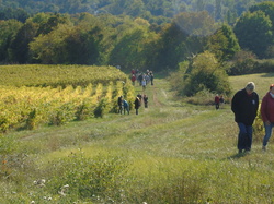  <a style='color: #fff;' href='/uploaded/photo/sortie-club-du-09-10-2016-580a8a1cbe1a8.jpg'>(Télécharger)</a>