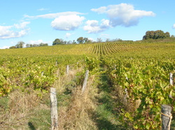  <a style='color: #fff;' href='/uploaded/photo/sortie-club-du-09-10-2016-580a8a29544fe.jpg'>(Télécharger)</a>