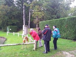  <a style='color: #fff;' href='/uploaded/photo/sortie-d-automne-525b01361226c.jpg'>(Télécharger)</a>