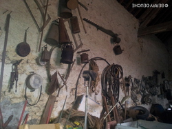  <a style='color: #fff;' href='/uploaded/photo/sortie-d-automne-525b0342a401f.jpg'>(Télécharger)</a>