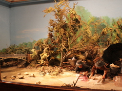  <a style='color: #fff;' href='/uploaded/photo/sortie-de-printemps-534d904cb458b.jpg'>(Télécharger)</a>