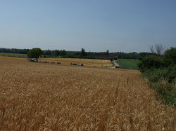  <a style='color: #fff;' href='/uploaded/photo/tour-de-france-2013-51e0758d3fb1a.jpg'>(Télécharger)</a>