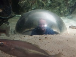  <a style='color: #fff;' href='/uploaded/photo/voyage-cy-tes-darmor-68597d335a7fd.jpg'>(Télécharger)</a>